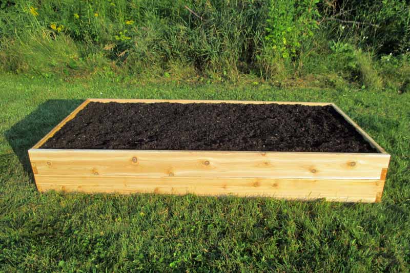 Quick Fall Raised Bed Prep Gardening Tips