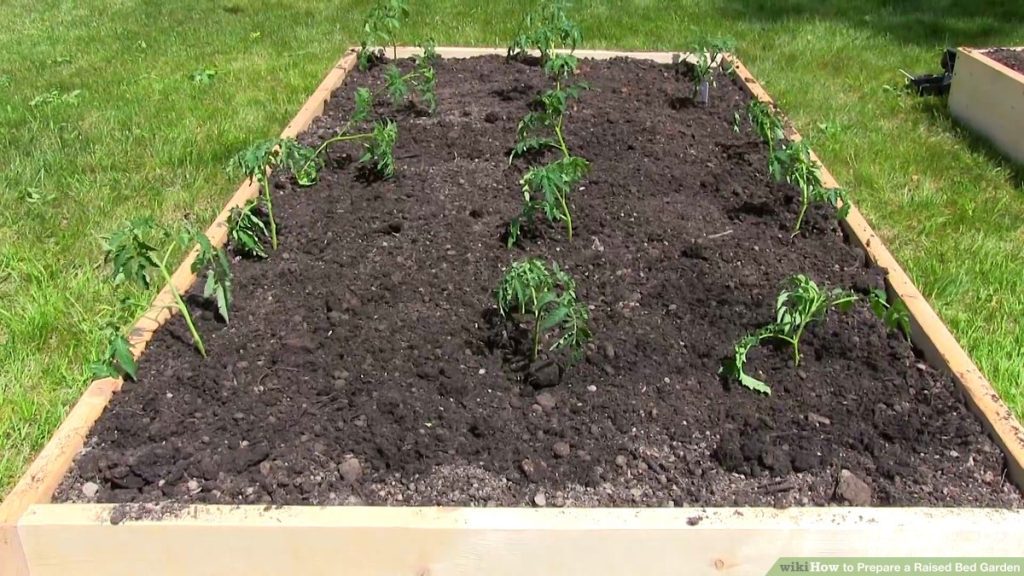 Raised Bed