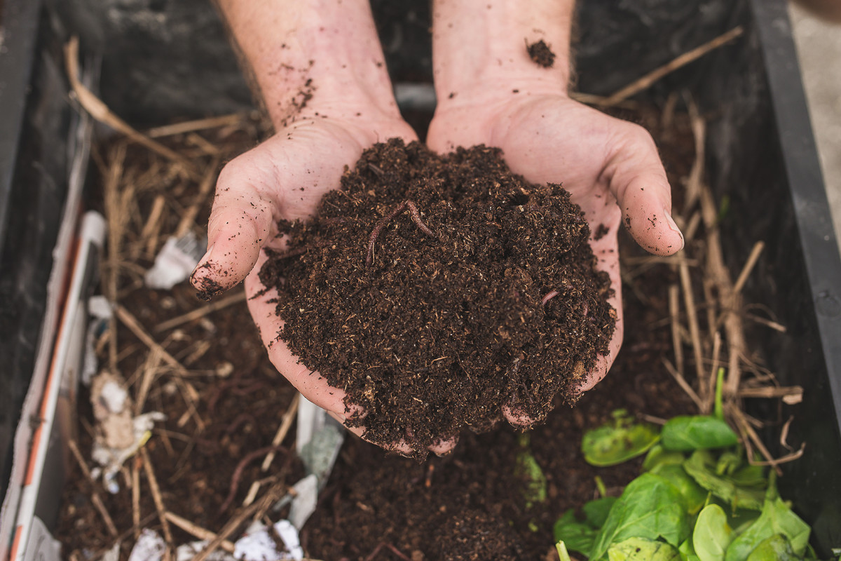 What is Vermicomposting – Learn Everything About It
